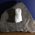 Upon_the_mount