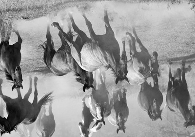 20120902152715-20__9212