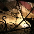 20120903015244-img_9255