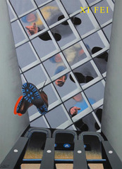 The Pure Biological Reaction of “Popular Art”: a. Phenomenon, b. Concept, c. Gleaners’ Suspicions,