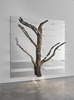 20120904170026-branzi_tree_7_recolor_crop