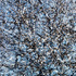20120904203446-01multiple_vision_01