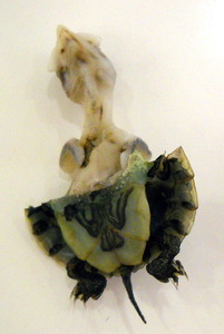 20120905012149-dscn0230_2