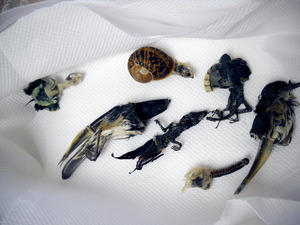 20120905033858-dscn0222