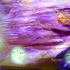 20120905105053-dscn7902