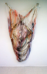 Shroud (Etiolated Shred and Symbol),Rachel Niffenegger