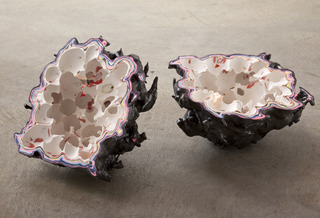 Void #10,Elyse Graham