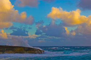 Lizard_rock_storm_h_5029-web