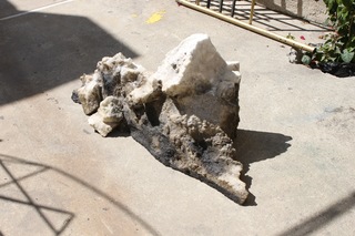 ,Joshua Callaghan