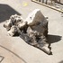 20120905233435-securedownload