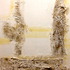 20120906001832-terra_de_liete_e_mel