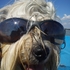 20120906005259-a_image_popup