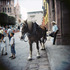 20120906020104-schererpromotionalimage_000