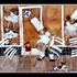 20120906022028-kim_dingle_monkey_blowing_his_brains_out_at_fattys_restaurant_72x84_oil_on_vellum_2007