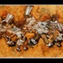 20120906022411-kim_dingle_service_at_fattys_2007_oil_vellum