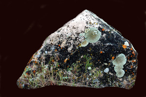 20120906150758-heavensnestegg1ng