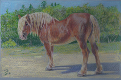 20120906193633-clydsdale_drawing