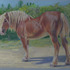 20120906193633-clydsdale_drawing