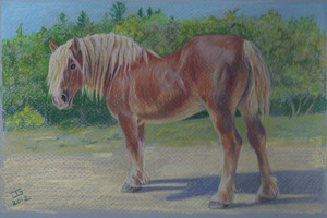 20120906193633-clydsdale_drawing