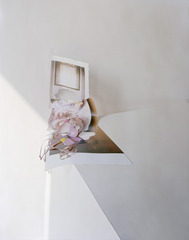 Untitled #20,Laura Letinsky