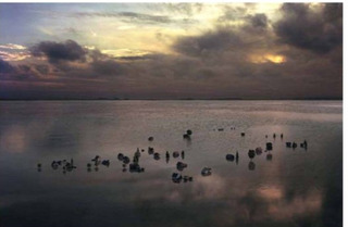 After the Rain,Thomas Wrede