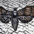 20120907023604-klone_new-landwe-need-new-land_part-of-installation_2012_