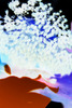 20120907150440-christiane_richter-n