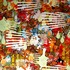 20120907171050-chb1003_large