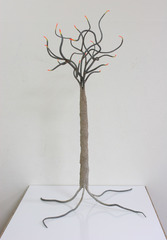 The Tree of Life,Rebecca Zemans