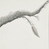 20120907221509-03_roxene_rockwell_tree_branch__3