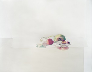 Untitled #03, From the Series Ill Form & Void Full,Laura Letinsky