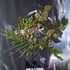 20120908134653-mainstream_install_720v_01_prev_img_4452_p1