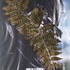 20120908134733-mainstream_install_720v_02_prev_img_4463_p1