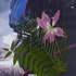 20120908134824-mainstream_install_720v_11_prev_timur_neu_025_p1