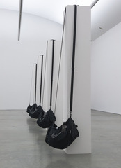 The struggle,Timur Si-Qin