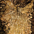 20120908182851-5copiaweb