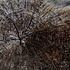 20120908183106-6copiaweb
