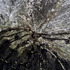 20120908184502-8copiaweb