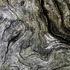 20120908184933-9copiaweb