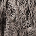 20130314044202-deforestation_n_10____ney_mil__perdomo