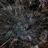 20120908185937-11copiaweb
