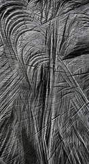 20130314054035-deforestation_n_12____ney_mil__perdomo