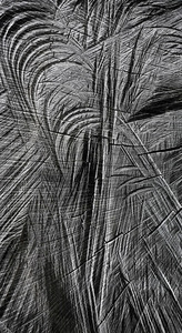 20130314054035-deforestation_n_12____ney_mil__perdomo