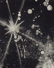 Astrobiology:  Space Time/ Local Time #14 (Light),Hannah Elise Bowman