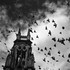 20120909091551-07_62-5_la_hora_de_la_misericordia