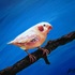 20120909152424-cropped_bird