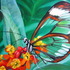 20120909154756-glasswing