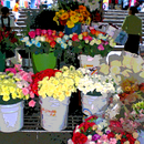 20120909222126-_flowers_stand-pallet