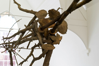 Pelle di foglie—sguardo incrociato (detail),Giuseppe Penone