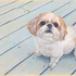 20120910215645-striker
